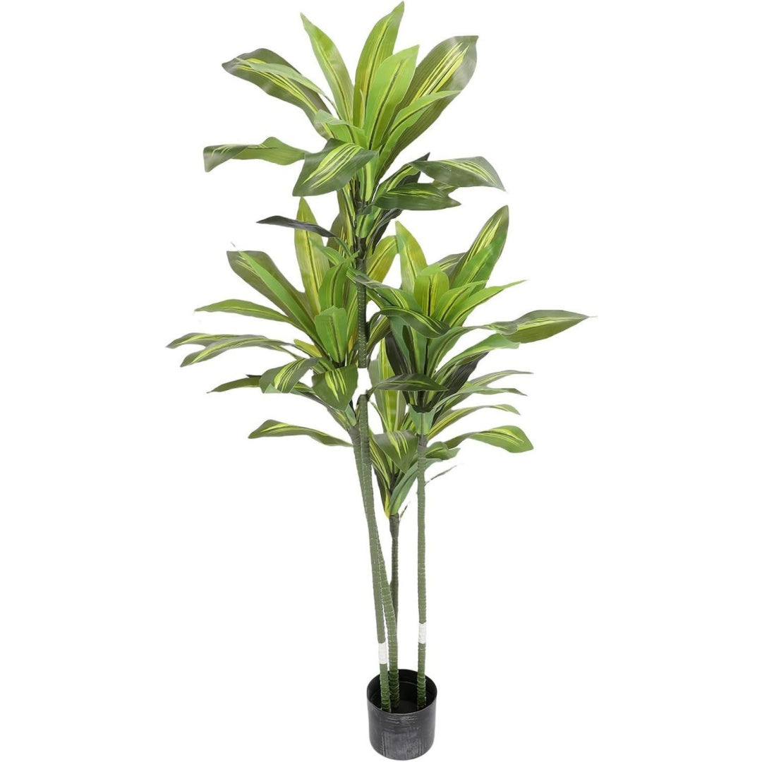 Mobile funzionale Sxhlseller Albero Finto Dracaena Fragrans naturale